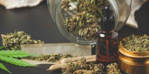 Finding Your Ideal Cannabis Dispensary in Torrington, CT: 7 Key Legal Factors to Consider