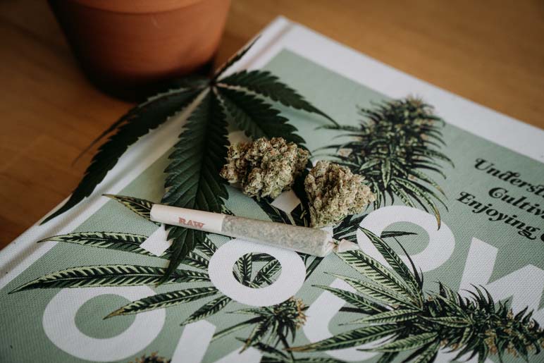 7 Health Benefits of Visiting a Cannabis Dispensary Near You